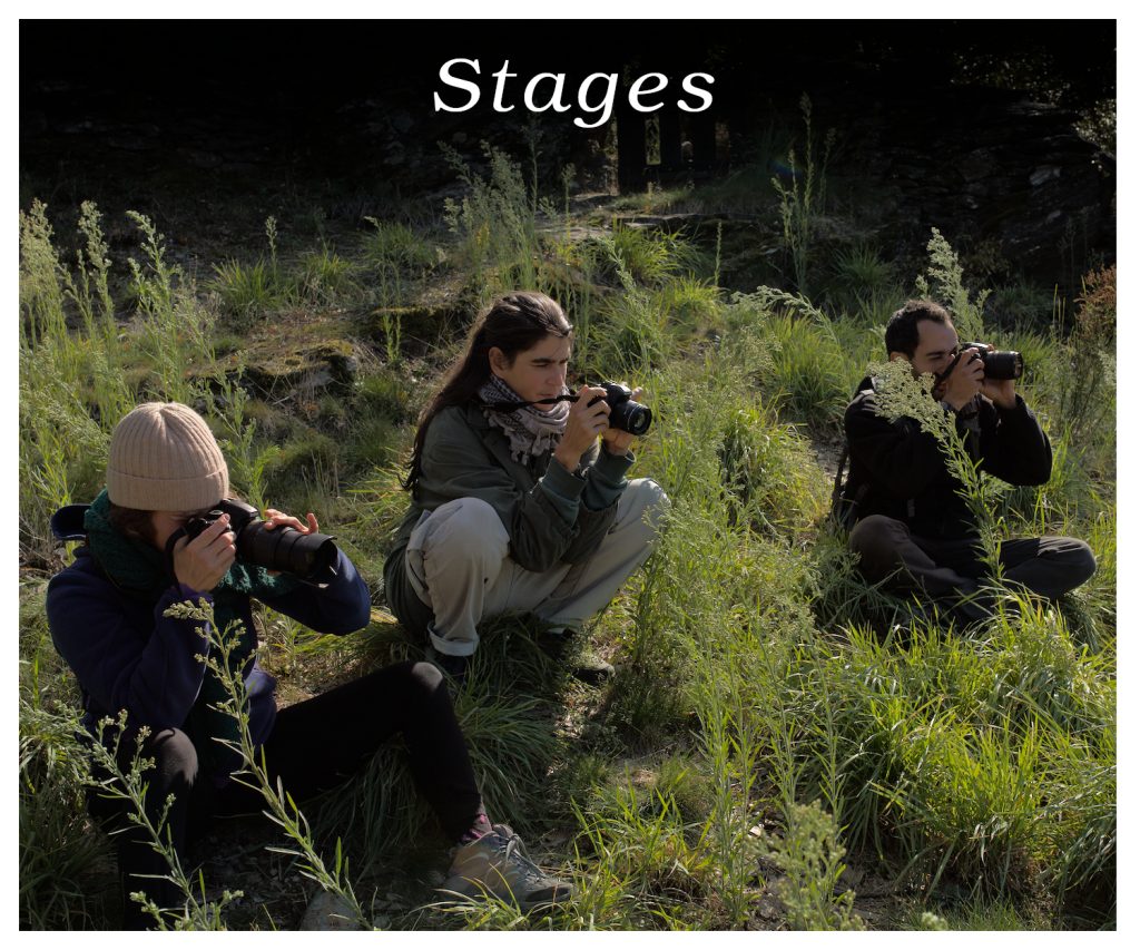 Photo de stage pour la page d'accueil, Hanna, Léa et Matthieu, mes premiers stagiaires.