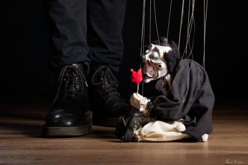 Photo de marionnette avec Chris Pottier comme marionnettiste, Andreï et la compagnie Agamâr . Séance du 12 Juin 2026 au studio de Villefort, Lozère.