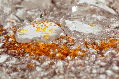 Ébéniste Thierry Dubois, art des choix du bois, photographie de studio.